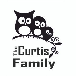 Customisable Baby Gro, Personalised Baby Clothing, Cute Owls Design Baby Gro, The [Your Text] Family Baby Gro, Unique Baby Gift Idea, Soft and Comfortable Baby Gro, Newborn Keepsake Clothing, Baby Shower Gift, Unisex Baby Outfit